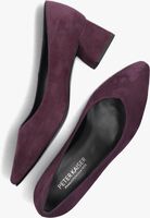 Paarse PETER KAISER Pumps 48401 Paarse PETER KAISER Pumps 48401 - medium