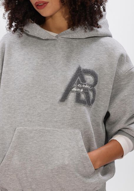 Grijze ANINE BING Truien/vesten JACI HOODIE LETTERMAN - large