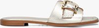 Gouden STEFANO LAURAN Slippers 23100 Gouden STEFANO LAURAN Slippers 23100 - medium