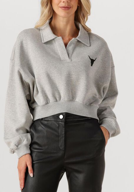 Grijze ALIX THE LABEL Sweater LADIES KNITTED POLO SWEATER - large