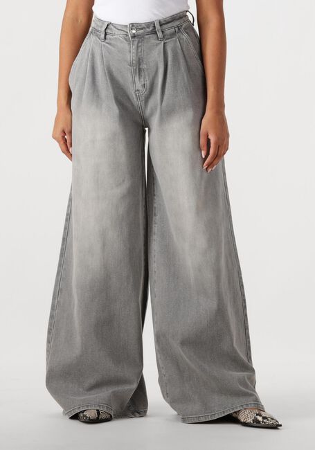 Grijze JANICE Wide jeans JEANS WIJDE PIJP STRETCH DOLLAR - large
