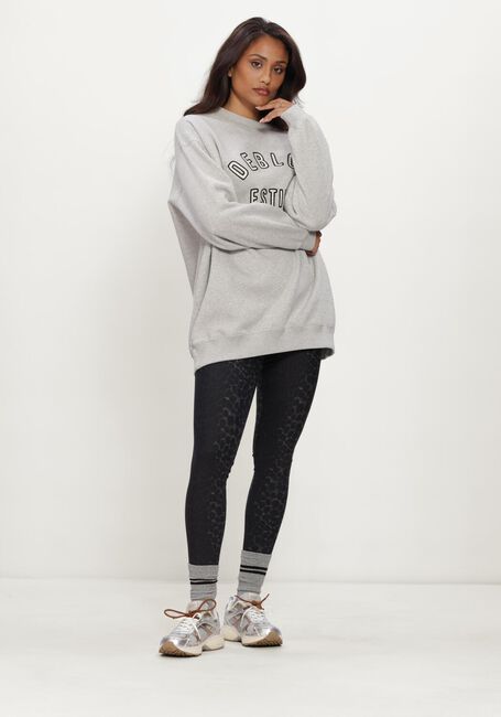 Grijze DEBLON SPORTS Sweater PEYTON SWEATER - large