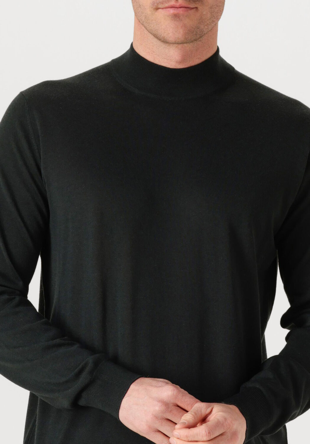 Groene FILIPPO DE LAURENTIIS Trui LUPETTO ML R.MERINO - large