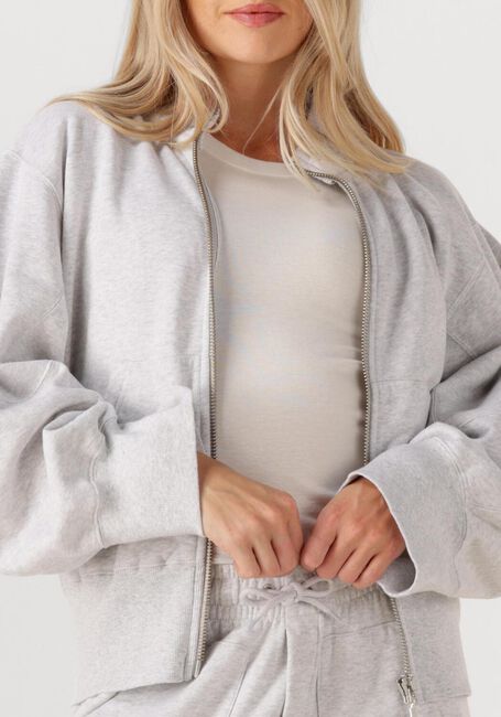 Lichtgrijze SEA ME HAPPY Trui COBRA ZIP SWEATER - large