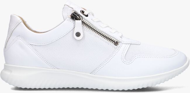 Witte HARTJES Lage sneakers 162.1124 - large