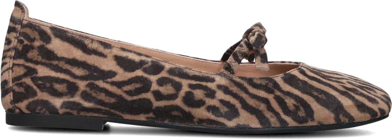 Unisa Ballerina
Dames Betar, Maat: 38, Materiaal: Suède, Kleur: Bruin afbeelding 1