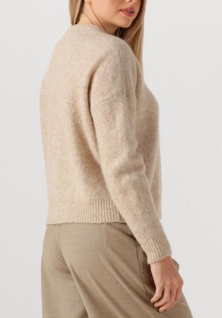 Beige MAX MARA Trui TUONO - large