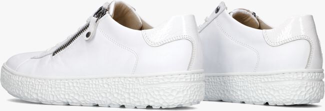 Witte HARTJES Lage sneakers 1621409 - large