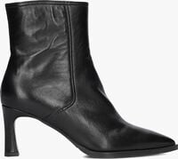 LINA LOCCHI AV 136 LIS LINA LOCCHI AV 136 LIS - medium