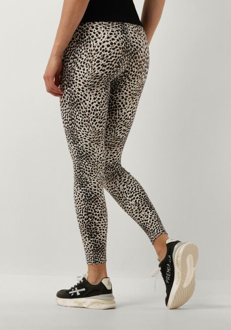 Bruine DEBLON SPORTS Legging CLASSIC LEGGINGS HIGH WAISTBAND - large