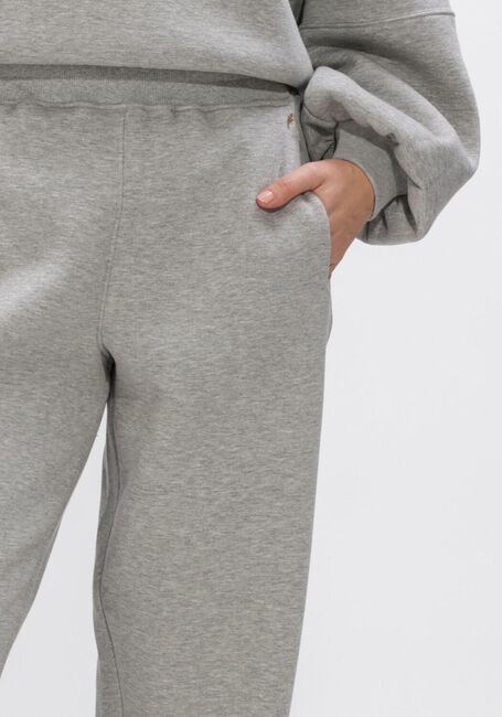 Grijze IBANA Broeken PAYO - large