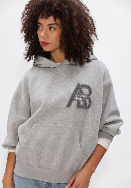 Grijze ANINE BING Truien/vesten JACI HOODIE LETTERMAN - large