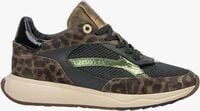 Groene FLORIS VAN BOMMEL Lage sneakers SFW-10138 SUVI Groene FLORIS VAN BOMMEL Lage sneakers SFW-10138 SUVI - medium