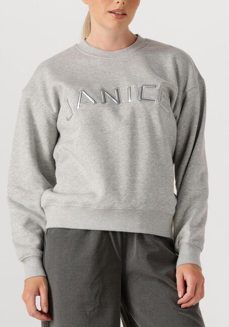 Grijze JANICE Sweater ANDY - large