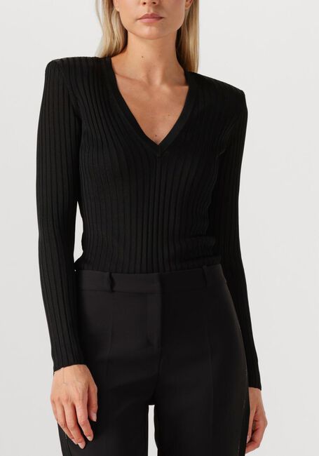 Zwarte ELISABETTA FRANCHI Trui KNITTED SWEATER - large