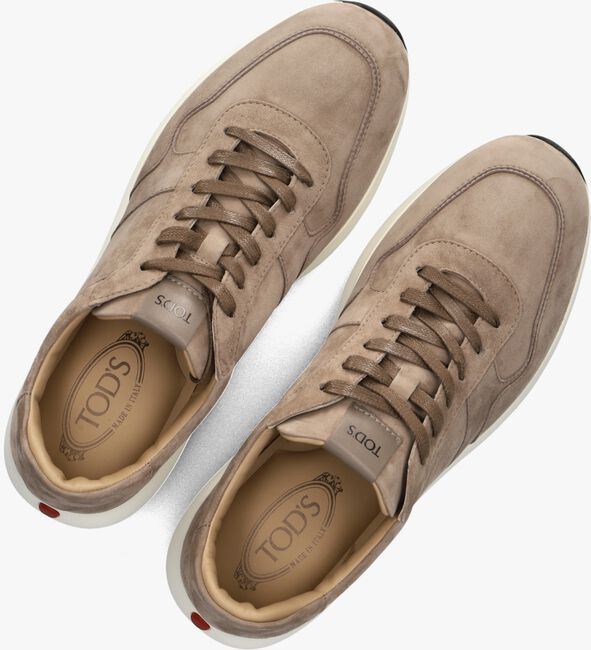 Beige TOD'S Lage sneakers XXM79K0Z281J17553J Beige TOD'S Lage sneakers XXM79K0Z281J17553J - large