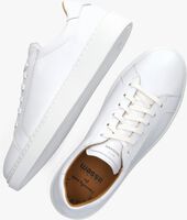Witte MAGNANNI Lage sneakers 24720 - medium