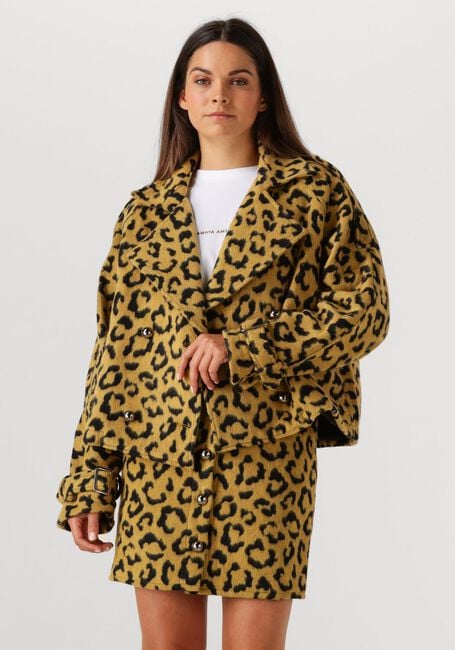 Oker AMAYA AMSTERDAM Jack LOTUS - large