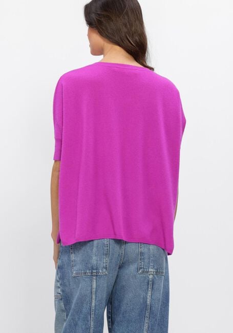 Paarse ABSOLUT CASHMERE Truien/vesten KATE - large