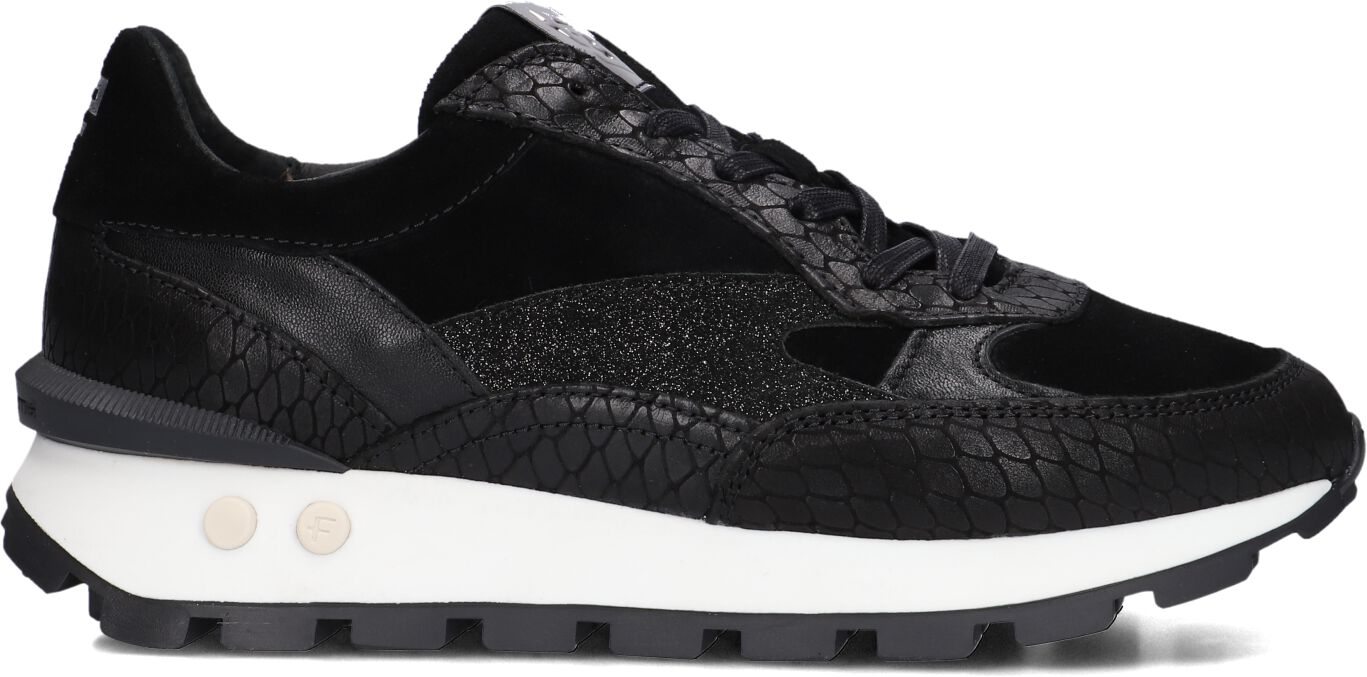 Floris van Bommel Lage Sneakers Dames Blokki 04.03, Maat: 39, Materiaal: Suède, Kleur: Zwart