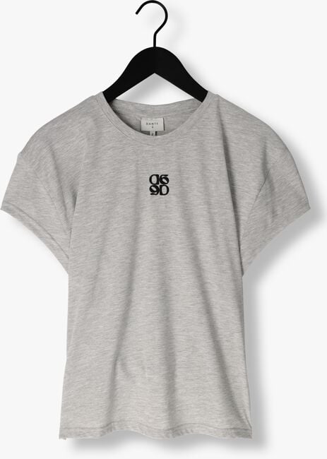 Grijze DANTE6 T-shirt VENOUR LOOSE FIT LOGO TEE Grijze DANTE6 T-shirt VENOUR LOOSE FIT LOGO TEE - large