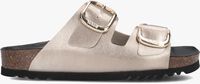 Taupe SCHOLL Slippers NOELLE Taupe SCHOLL Slippers NOELLE - medium