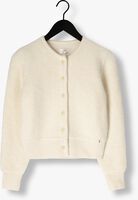 DES PETITS HAUTS CUMIN DES PETITS HAUTS CUMIN - medium