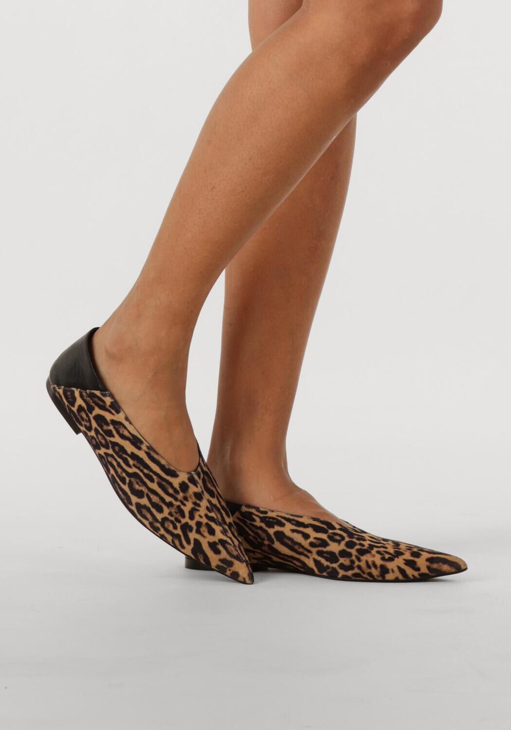 Beige TORAL Ballerina's ARIA - large