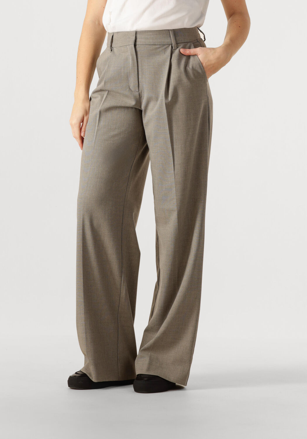 Haute L'Amitié Wijde Broek Dames Nicole Pleat Tall Pant, Maat: S, Kleur: Taupe afbeelding 1