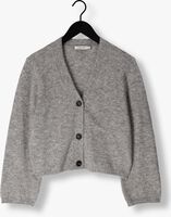 Grijze KNIT-TED Vest ARIEL Grijze KNIT-TED Vest ARIEL - medium