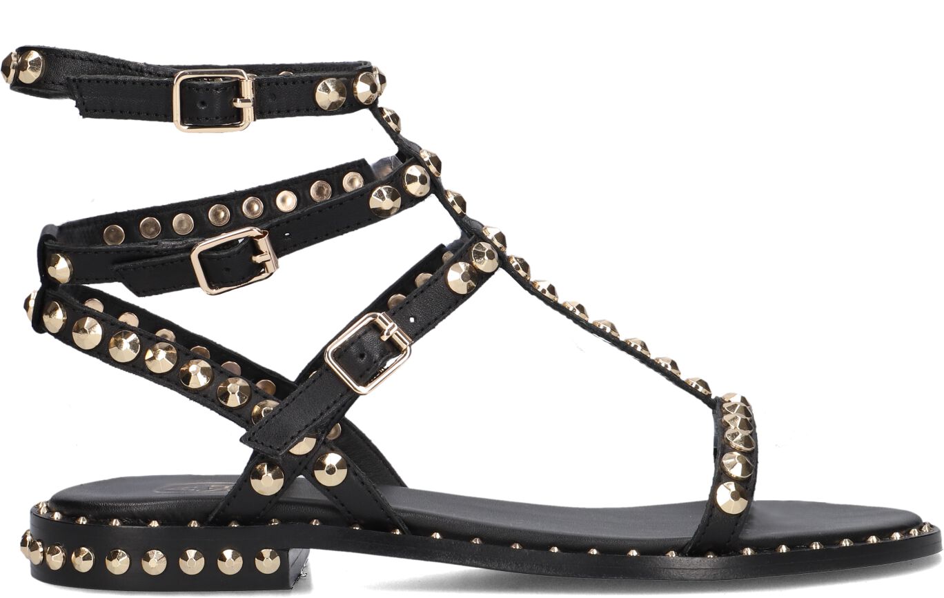 Ash Sandalen
Dames Play, Maat: 37, Materiaal: Leer, Kleur: Zwart