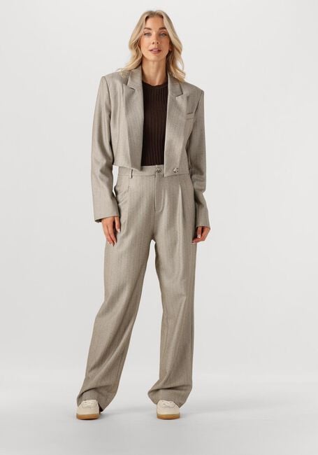 Taupe IBANA Wijde broek PELAH PINESTRIPE - large
