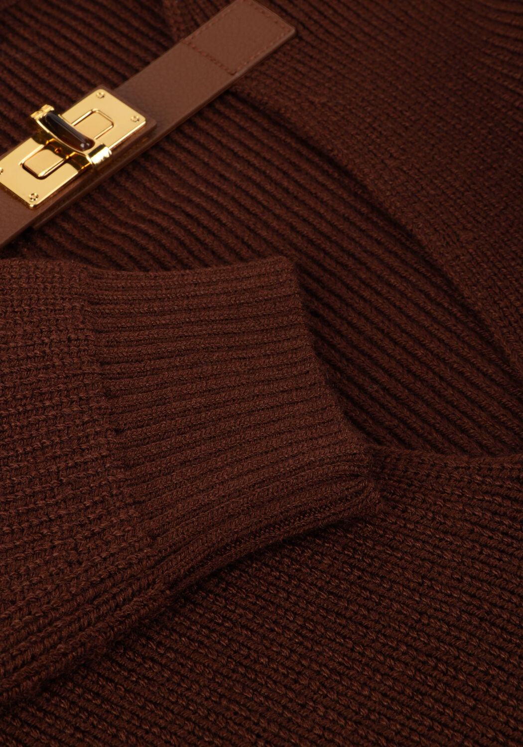 Bruine ELISABETTA FRANCHI Trui KNITTED SWEATER - large