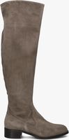 Taupe NALINI Hoge laarzen 22I108 - medium