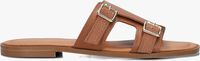 Cognac STEFANO LAURAN Slippers 24004 - medium