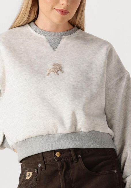 Grijze LOIS JEANS Sweater CROPP OVER - large
