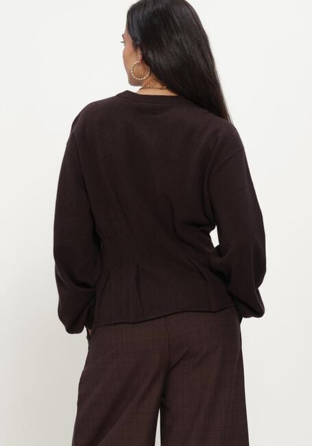 Bruine GESTUZ Truien/vesten GZMANZI WAIST PULLOVER - large