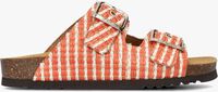 Oranje SCHOLL Slippers NOELLE RAFFIA Oranje SCHOLL Slippers NOELLE RAFFIA - medium