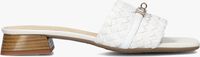 Witte STEFANO LAURAN Slippers 24500 - medium
