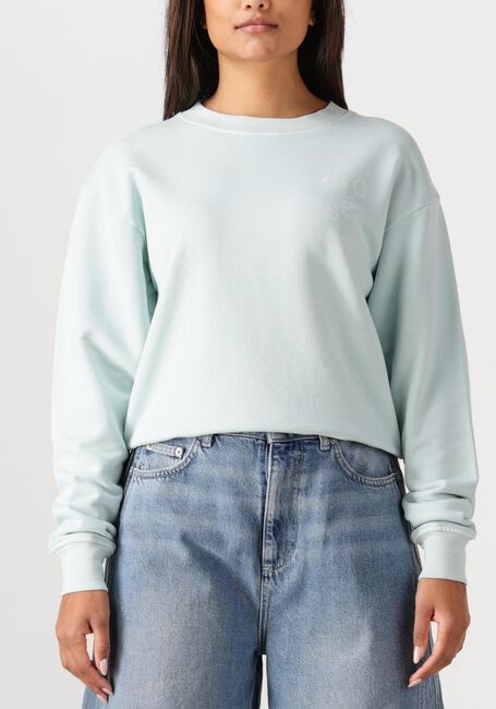 Lichtblauwe CLOSED Sweater PRINTED SWEATSHIRT - large