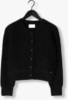 DES PETITS HAUTS CUMIN DES PETITS HAUTS CUMIN - medium