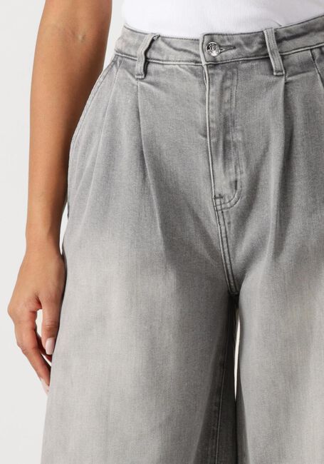 Grijze JANICE Wide jeans JEANS WIJDE PIJP STRETCH DOLLAR - large