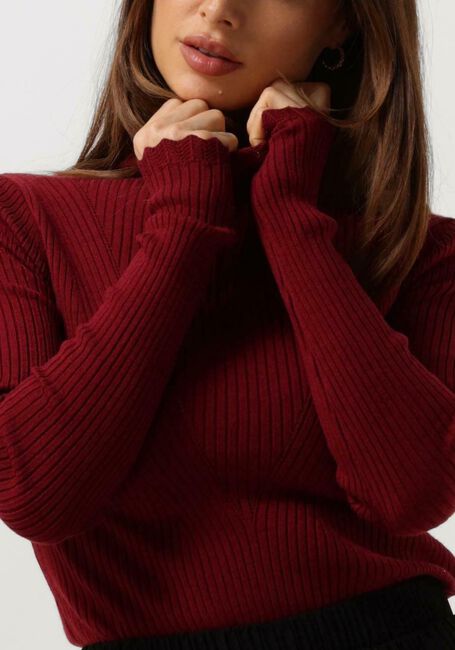 Rode AAIKO Tops & T-shirts VIDA RUFFLE VIS 301 SWEATERS - large