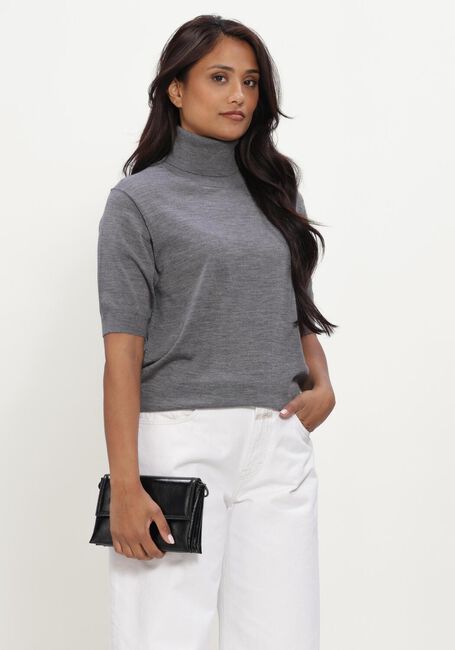 Grijze FFC Coltrui ROLLKRAGENPULI SARA - large