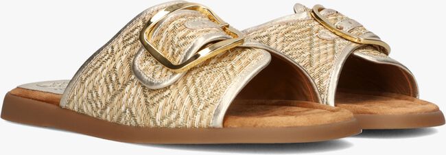 Gouden UNISA Slippers CRAY - large