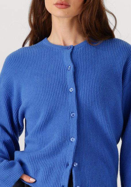 Blauwe PENN & INK Vest CARDIGAN W25B345 - large