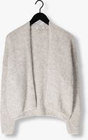 Grijze KNIT-TED Vest BECKY Grijze KNIT-TED Vest BECKY - medium