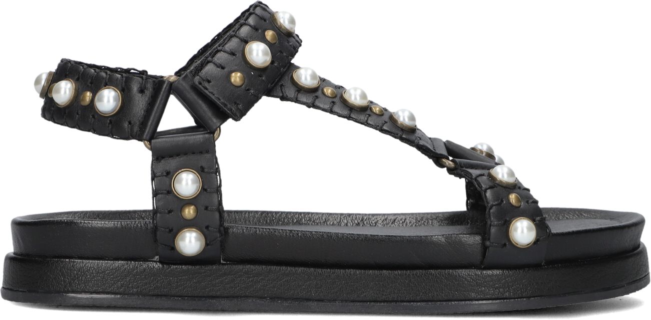 Blasz Dames Saran-14