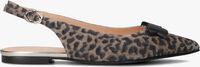 Bruine FLORIS VAN BOMMEL Slingbacks SFW-40050 - medium