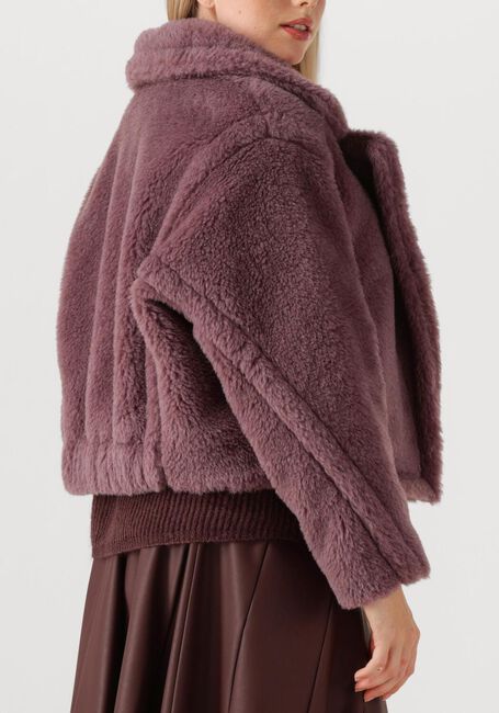 Paarse MAX MARA Teddy jas OGGERI 2511081061600 - large